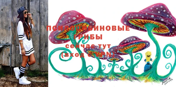 крисы Балахна