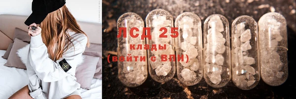 экстази Бородино