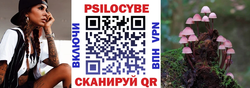 Псилоцибиновые грибы прущие грибы  Пойковский 